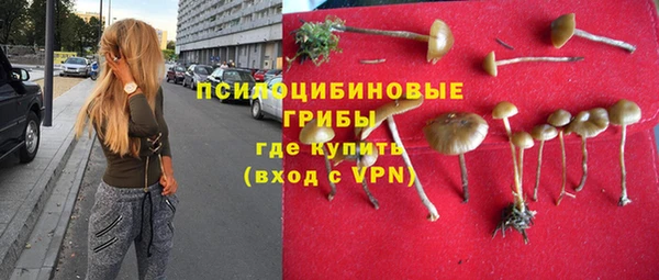 дживик Навашино