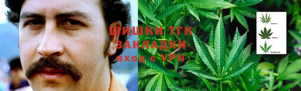 дживик Навашино
