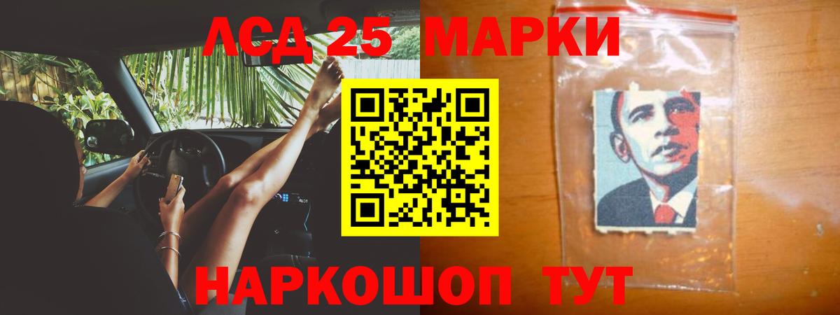 Псилоцибиновые грибы Гусь-Хрустальный