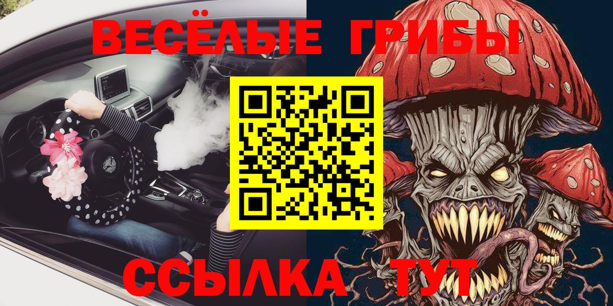 Псилоцибиновые грибы MAGIC MUSHROOMS  Псилоцибиновые грибы Psilocybine cubensis  Гусь-Хрустальный 