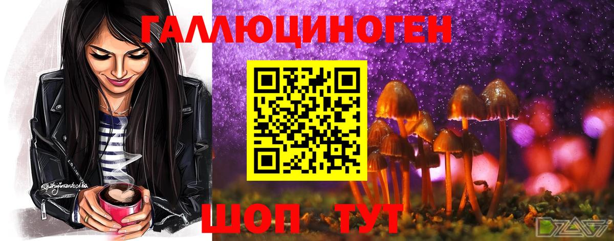 Псилоцибиновые грибы Magic Shrooms Гусь-Хрустальный