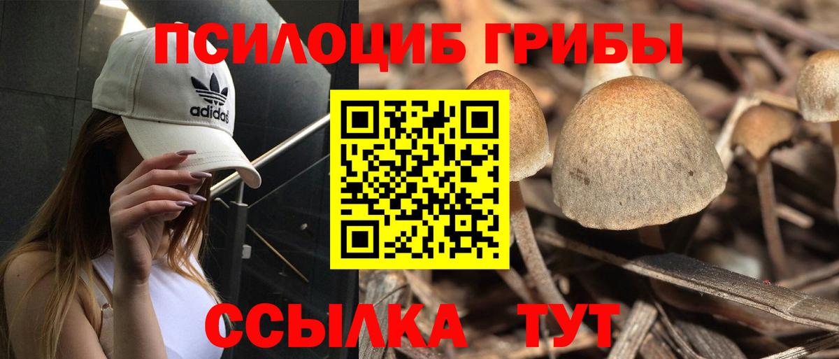 Галлюциногенные грибы MAGIC MUSHROOMS Гусь-Хрустальный